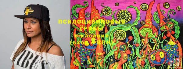 герыч Долгопрудный