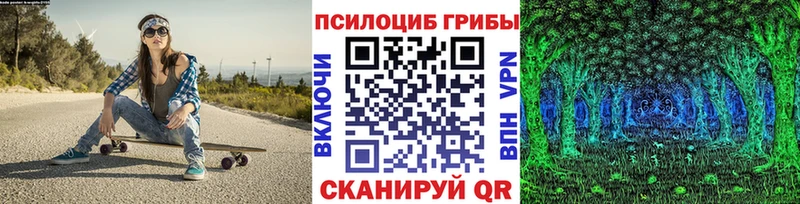 Купить закладки  Томари  Псилоцибиновые грибы Magic Shrooms 